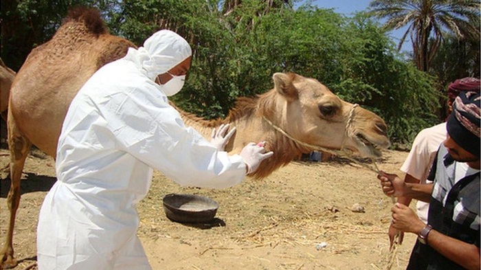 Mers vaccine `a step closer` - scientists